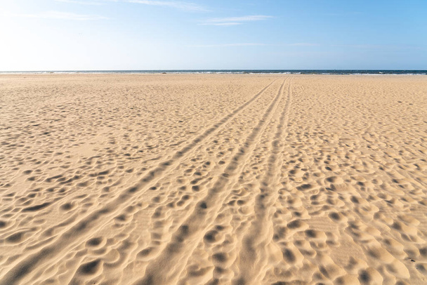 rannalla on useita kappaleita hiekassa
 - Valokuva, kuva