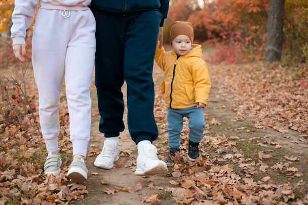 Bela família jovem em um passeio na floresta de outono, mãe, pai e filho pequeno braço a braço. Close-up - Foto, Imagem