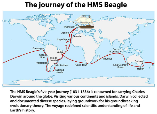 Il viaggio della HMS Beagle Informazioni illustrazione - Vettoriali, immagini