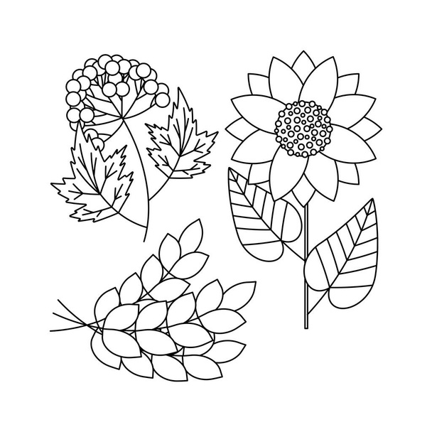 A branch with a viburnum, a sheaf of wheat, a sunflower flower. Ukrainian symbols. Line art. Vector illustration isolated on white background. - Вектор, зображення