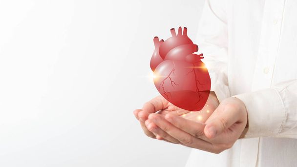 Weltherztag. Ärztliche Hände halten gesunde Herzorgane in der Hand. Herzkrankheiten, Herztransplantation oder Organspendekonzept. Kardiologische Untersuchung und Behandlung. - Foto, Bild