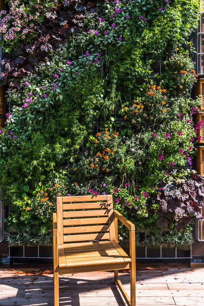 Çiçek açan bitkilerle dikey bahçe ve ahşap bahçe sandalyesi, yeşillendirme konsepti, modern şehir bahçesi, dikey - Fotoğraf, Görsel