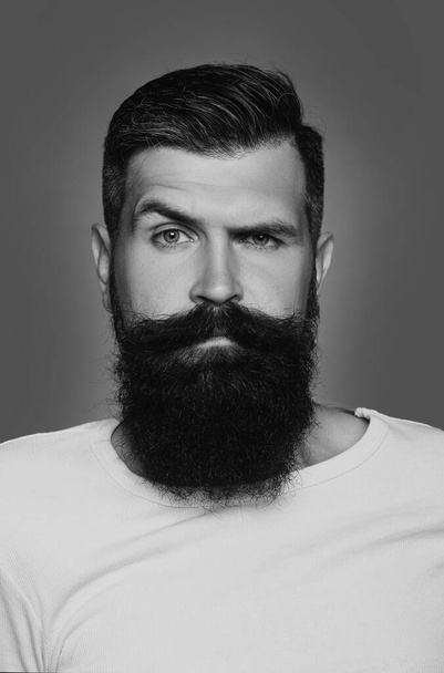 Handsome bearded man with long lush beard and moustacheon grey background - 写真・画像