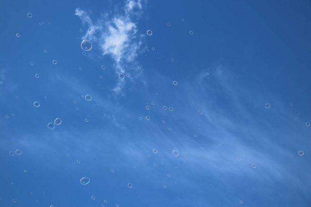 soap bubbles in the sky photo - Photo, image