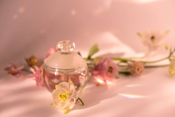 Frasco transparente de vidro cosmético e flores de aquilegia e brilho do sol em um fundo rosa. Borrão e foco seletivo  - Foto, Imagem