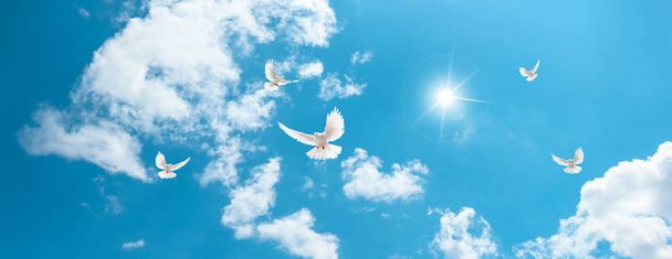 Svítící slunce na krásné modré obloze a bílé holubice letící mezi mraky. 3D strop dekorace obrázek. - Fotografie, Obrázek