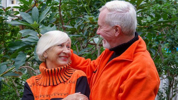 Starsza siwowłosa optymistyczna para zakochanych mężczyzn i kobiet na tle zielonych roślin w ogrodzie botanicznym w pomarańczowych swetrach - Zdjęcie, obraz