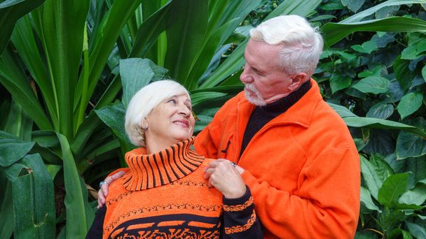 Starší šedovlasý optimistický pár v lásce muž a žena na pozadí zelených rostlin v botanické zahradě v oranžových svetrech - Fotografie, Obrázek