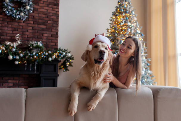 молода мила дівчина обіймає собаку в капелюсі Санти вдома біля новорічної ялинки і дивиться на простір для копіювання, жінка з золотим ретривером в різдвяному прикрасі, святкуючи новий рік разом
 - Фото, зображення