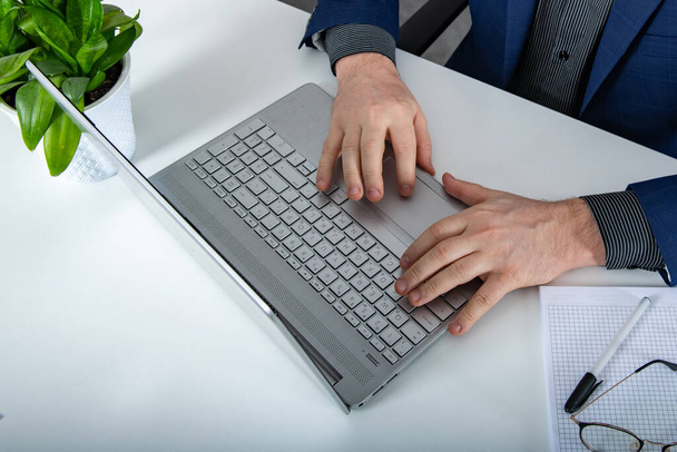 Gray Laptop Green Plant Man Hands on Keyboard. High quality photo - Photo, Image