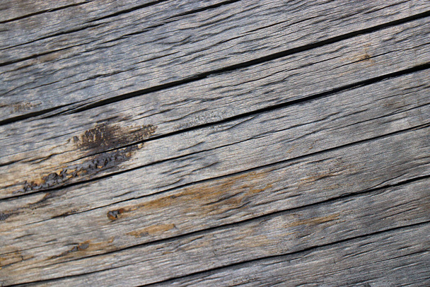 ξύλο δέντρο ξύλο φόντο υφή δομή φόντο - Φωτογραφία, εικόνα