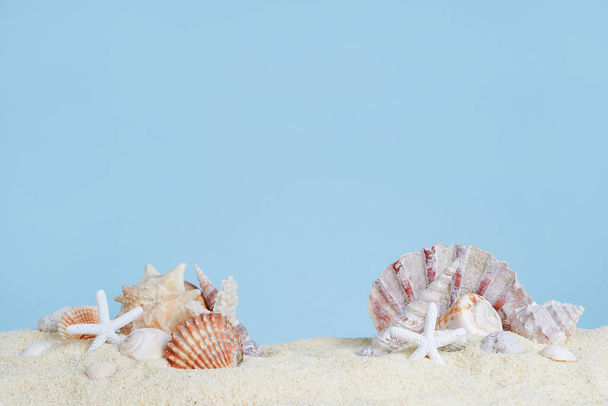Seashells with starfish on sand, blue background. Sea summer vacation card with empty place for cosmetic products or text - Zdjęcie, obraz