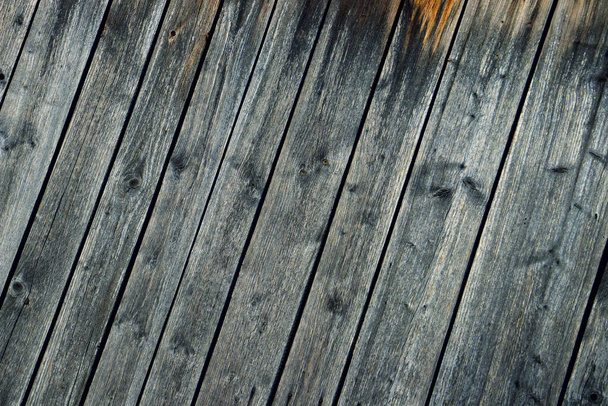 hout boom hout achtergrond textuur structuur achtergrond - Foto, afbeelding