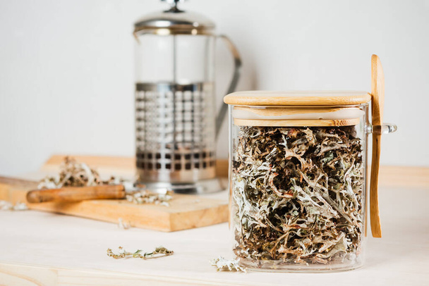 Dry icelandic moss in a glass jar. Cetraria islandica. Alternative medicine. - Photo, Image
