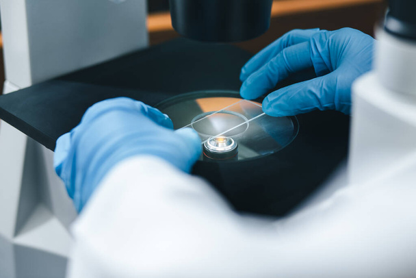 El primer plano del guante de mano del científico puso el vidrio de la diapositiva en el microscopio invertido para buscar las células de cultivo para el bioensayo en el laboratorio. Investigación para el desarrollo farmacéutico y biotecnológico. - Foto, Imagen