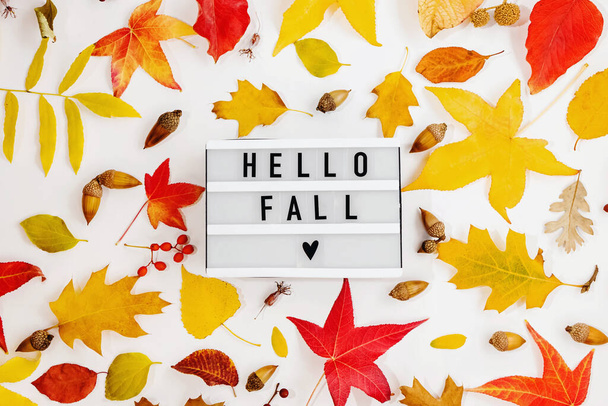 Hello fall, box with text and colorful autumn leaves, seasonal flat lay composition - Fotoğraf, Görsel