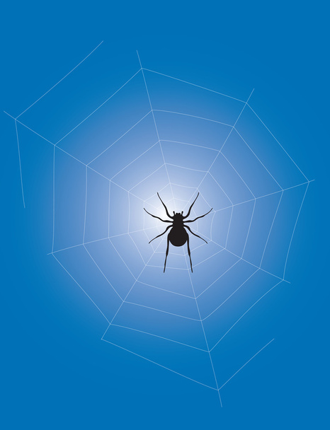 Spider icon - Vector, Image