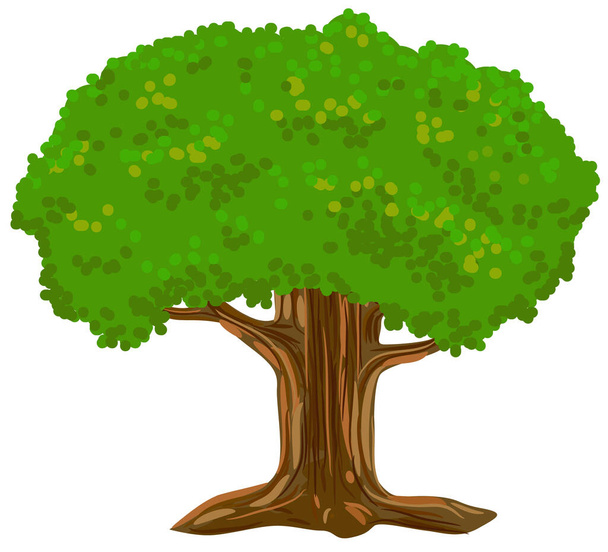 tree with green moss  - Vector, Image