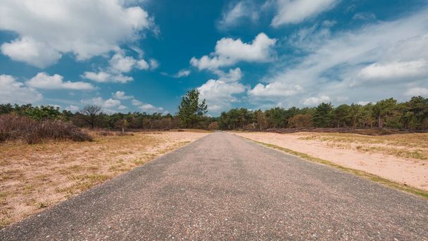 Un camino de asfalto que conduce al horizonte, bajo un cielo azul con nubes, en el Parque Nacional Loonse y Drunense Duinen - Foto, imagen