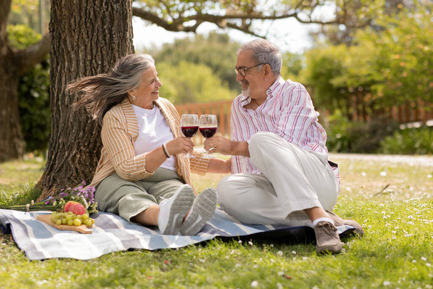 Smiling senior man and woman in casual on plaid, cheers with glasses of wine, enjoy picnic together in park outdoor. Love, romantic relationship, date at free time, weekend, pension and holiday - Photo, Image