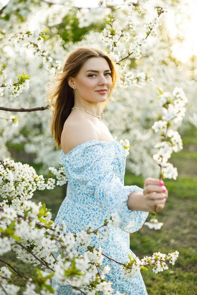 Attractive young woman in a delicate dress in a blossoming spring apple orchard. A gentle woman in a light summer dress. - Foto, Imagen