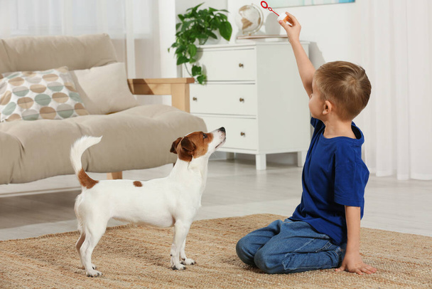 Little boy playing with his cute dog at home. Adorable pet - Foto, immagini