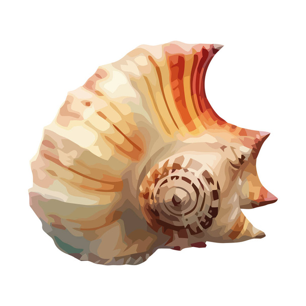 Summer seashells, nature decoration spiral icon isolated - Vector, Image