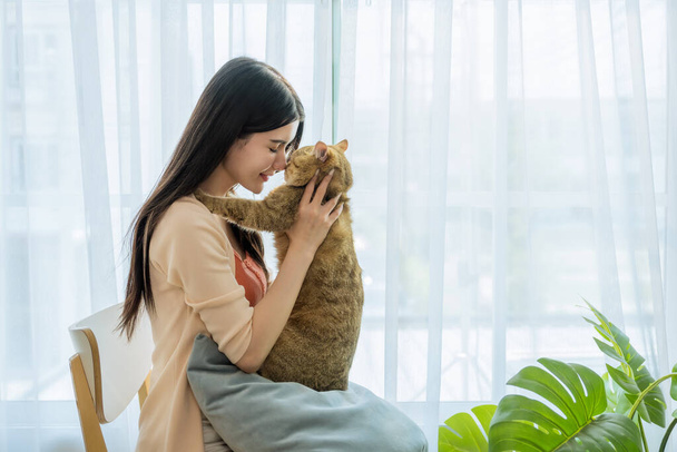 An endearing moment is captured as a young Asian woman, bathed in morning light by a window, shares a quiet morning at home with her cat nestled comfortably in her lap - Photo, Image