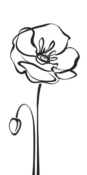 Poppy flower. Black line drawing of a poppy flower isolated on a white background. Vector line art illustration - Vector, Image