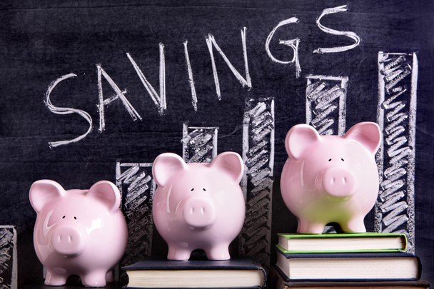 Piggy Banks with savings chart - Photo, Image