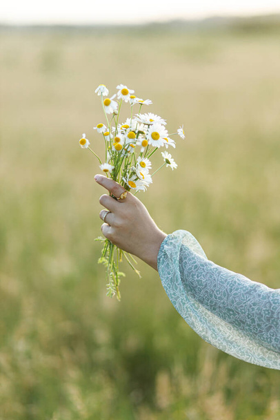 Woman hand holding daisy bouquet in field in evening summer countryside, close up. Atmospheric moment. Young female gathering wildflowers in meadow. Rural simple life - Photo, Image