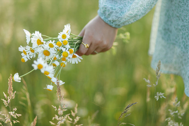 Daisy csokor nő kezében este nyári táj, közelről. Fiatal nőstény vadvirágokat gyűjt a réten. Gondtalan légköri pillanat - Fotó, kép