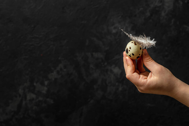 man holding chicken and quail egg in hand on a dark background, banner, menu, recipe place for text. - Photo, Image