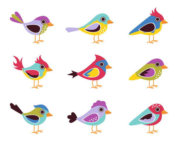 Värikkäitä lintuja. Eri väreillä ja koristeilla. Vektorigrafiikka. - Vektori, kuva