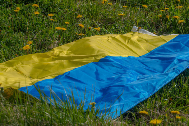 Dandelion meadow with Ukrainian flag. Summer festival. Soft selective focus. - Fotografie, Obrázek