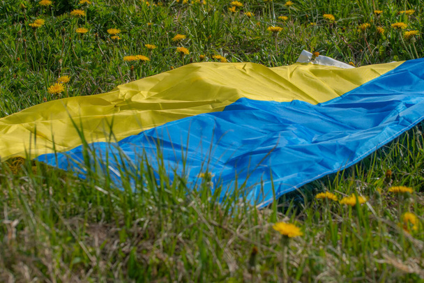 Dandelion meadow with Ukrainian flag. Summer festival. Soft selective focus. - Foto, Imagen