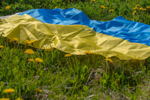 Dandelion meadow with Ukrainian flag. Summer festival. Soft selective focus. - Fotó, kép