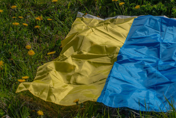 Dandelion meadow with Ukrainian flag. Summer festival. Soft selective focus. - Valokuva, kuva