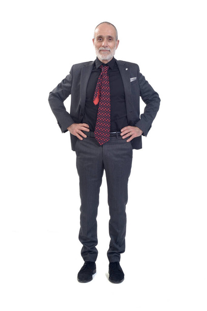 πρόσοψη ενός άνδρα στέκεται με κοστούμι και γραβάτα και τα χέρια akimbo σε λευκό φόντο - Φωτογραφία, εικόνα
