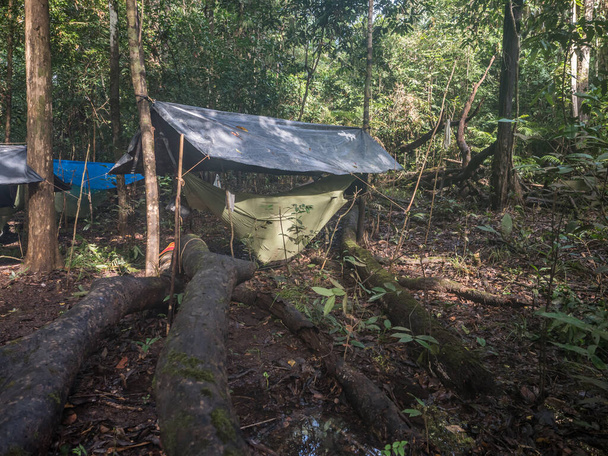 Jungle, Brazilië - 21 maart 2018: Kamp met hangmat in de Amazone jungle. Selva. - Foto, afbeelding