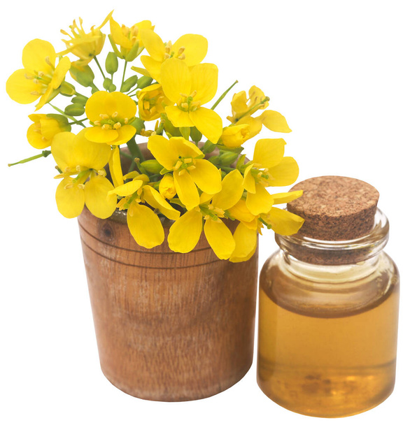 Closeup of mustard flowers with oil in a bottle - Foto, Imagen