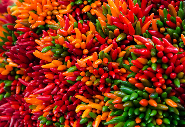 close up of red and yellow chili peppers  - Фото, изображение
