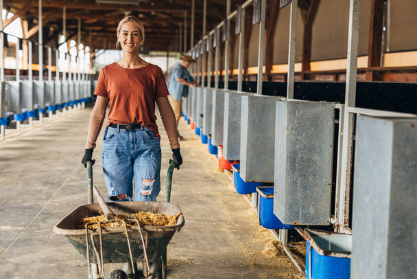Happy beautiful woman is working at the animal farm. - Foto, Imagen