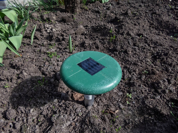 Ultraschall-, solarbetriebene Maulwurf- oder Repeller-Vorrichtung im Boden in einem Gemüsebeet im Garten. Gerät mit Piepton, um Schädlinge fernzuhalten - Foto, Bild