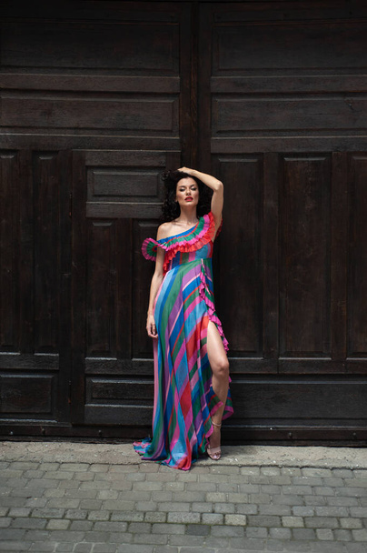 portrait of young beautiful brunette woman in a colorful dress.  - Foto, Imagem