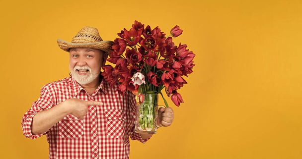 happy old retired man in hat point finger on spring tulip flowers on yellow background. - Foto, afbeelding
