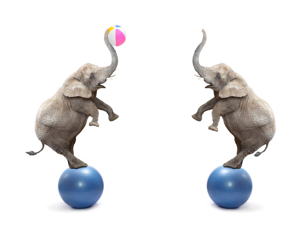 Deux éléphants drôles jouant avec la balle
. - Photo, image