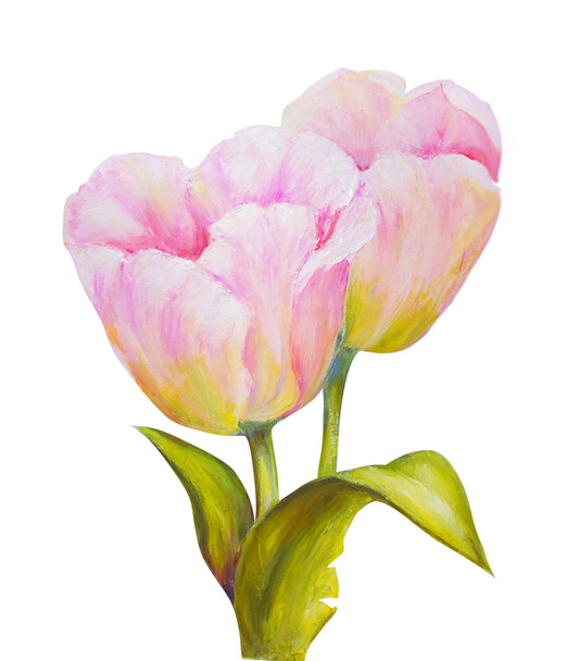 Tulips isolated on white, oil painting - Фото, зображення