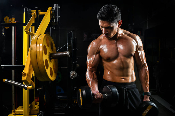 Images of Asian men with beautiful muscles lifting weights at the gym. - Fotó, kép