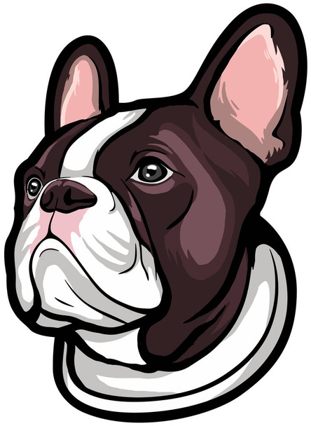 cute dog. animal face. vector illustration. bull dog. - Vector, Image